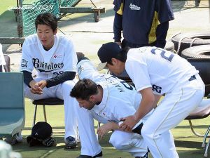 Alessandro-alex-maestri-orix-buffaloes-2015-japan-npb (7)