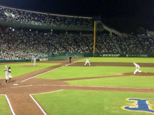 Alex Maestri Orix Buffaloes 2013 (195)