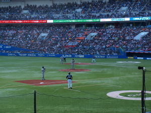 Alex Maestri Orix Buffaloes 2013 (214)