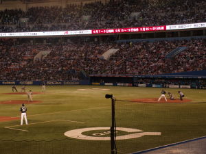 Alex Maestri Orix Buffaloes 2013 (255)