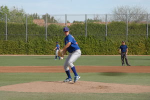 Daytona Cubs Baseball Maestri Mlb (103)