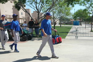 Daytona Cubs Baseball Maestri Mlb (152)