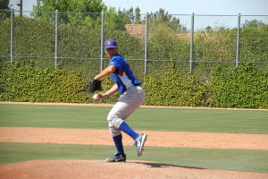 Daytona Cubs Baseball Maestri Mlb (29)