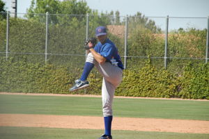 Daytona Cubs Baseball Maestri Mlb (34)