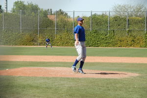 Daytona Cubs Baseball Maestri Mlb (47)