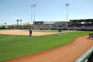 Daytona Cubs Baseball Maestri Mlb (69)