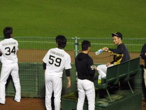 Maestri Npb Bullpen Buffaloes Japan 2015 (7)