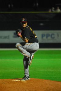 Maestri Pitcher Bandits Australia (21)