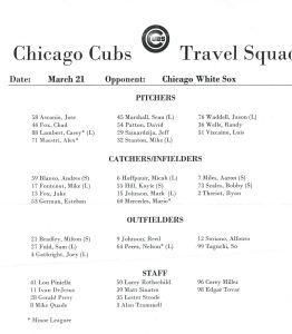 Travel Squad Cubs